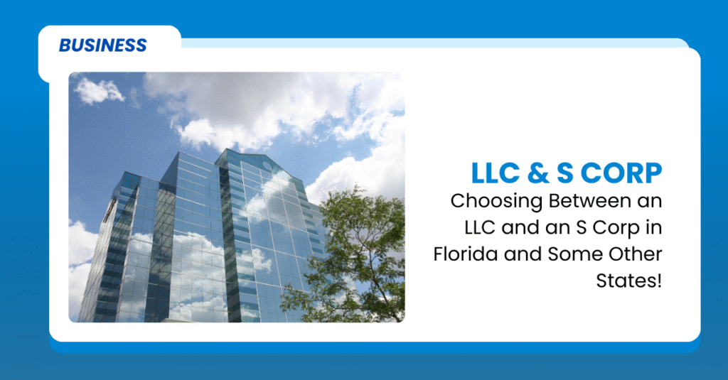 LLC and S Corp