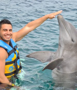 Omar Solari, Omar C Solari, Omar Solari Indictment, Omar Solari Sentencing, Jorge Antonio Omar Solari, Omar Solari Florida
